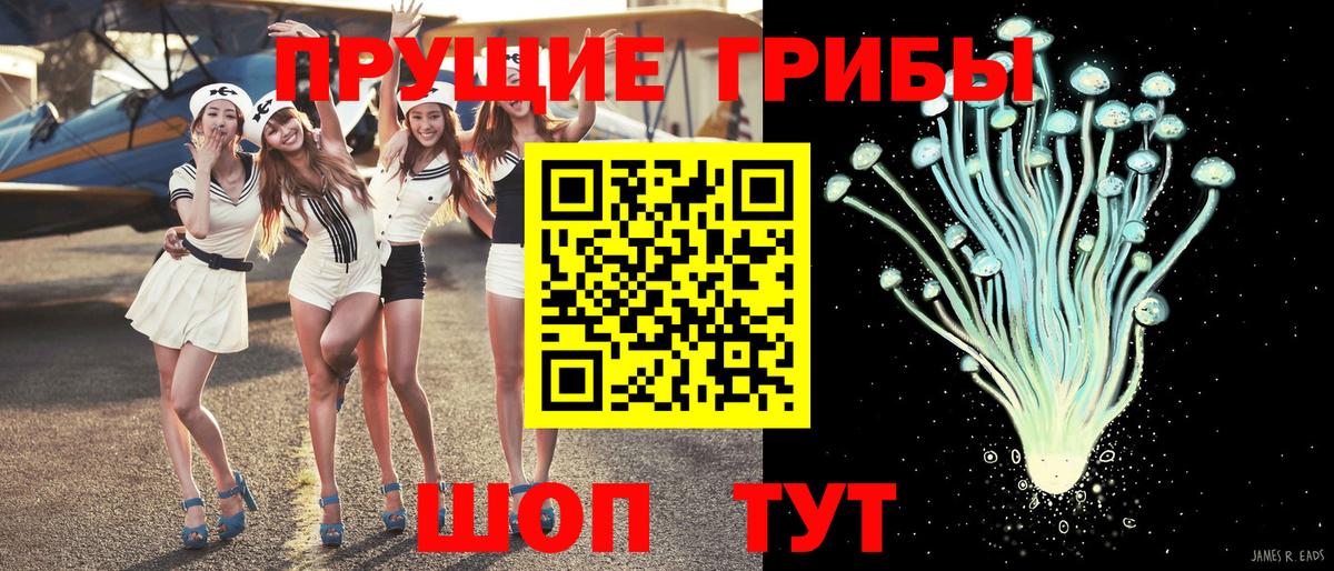 Тосно  Псилоцибиновые грибы GOLDEN TEACHER  закладки  Вход с VPN  Галлюциногенные грибы Psilocybe 